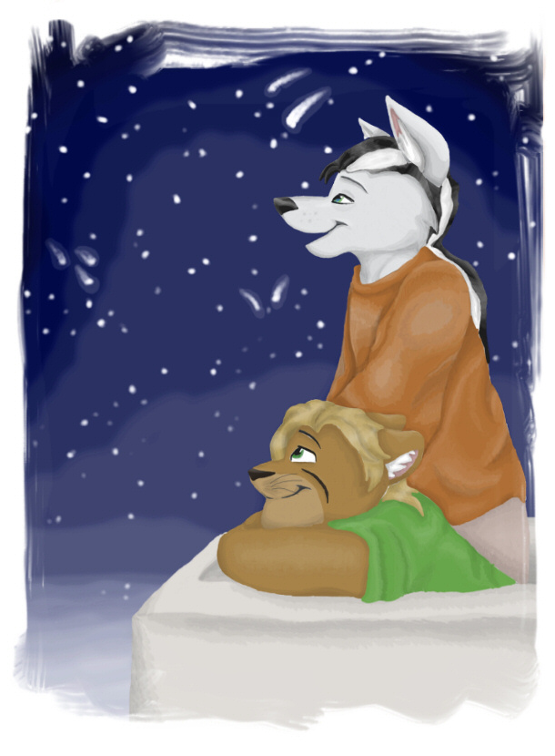 Star Gazing by WillowWhiskers