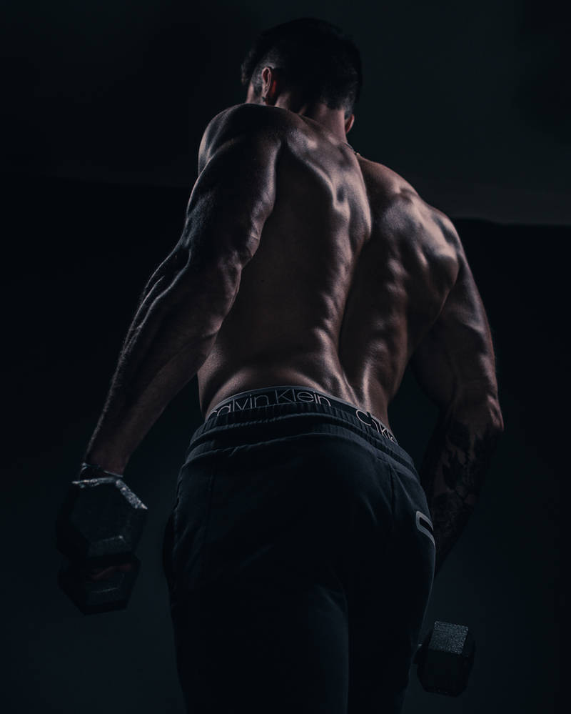 Back shot by Tazzman777 on DeviantArt