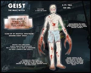 Geist Ref. Sheet