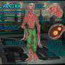 Vlach Ref. Sheet 2.0