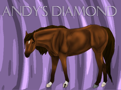WSS Andy's Diamond