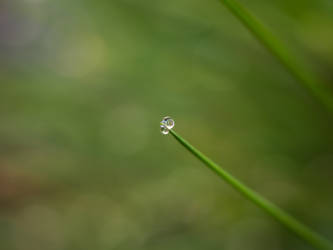 Rain drops VI