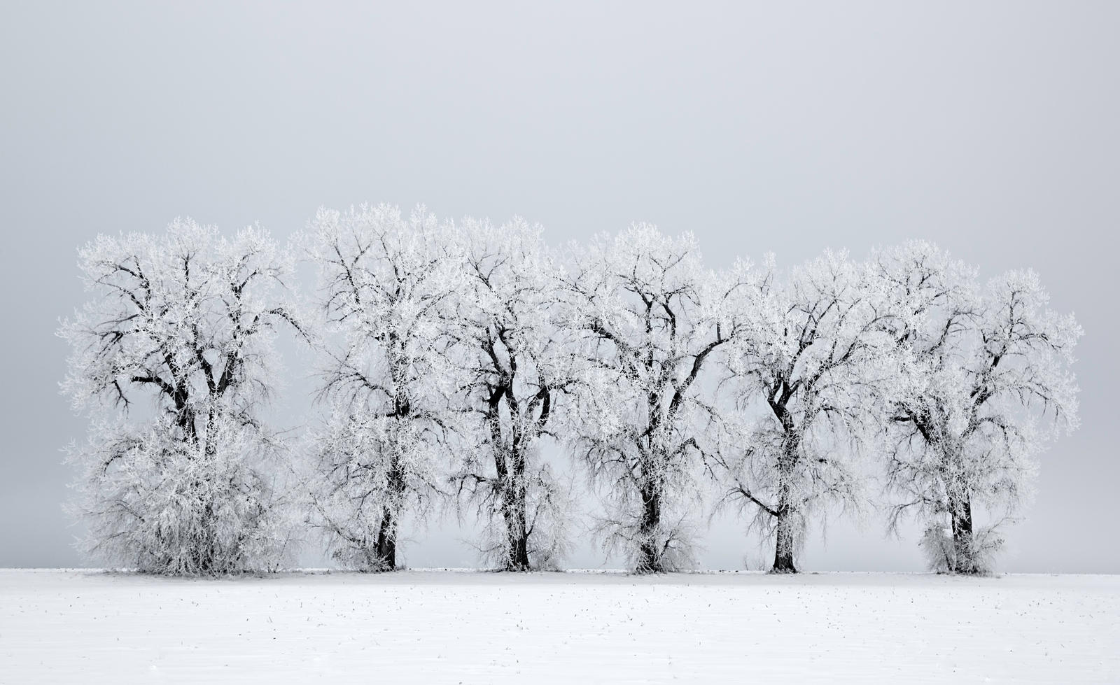 the frost-line