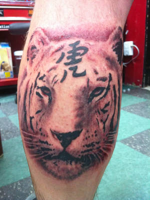 black and grey tiger  tattoo