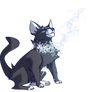 Cinderpelt, the brave -at-