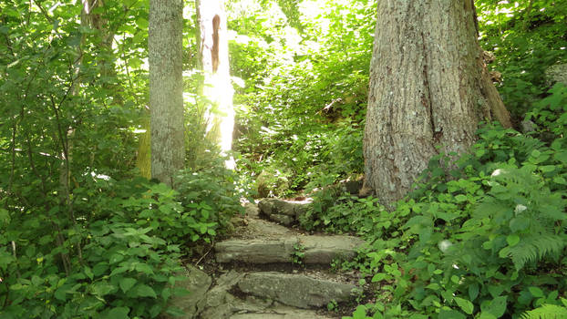 Stone Pathway