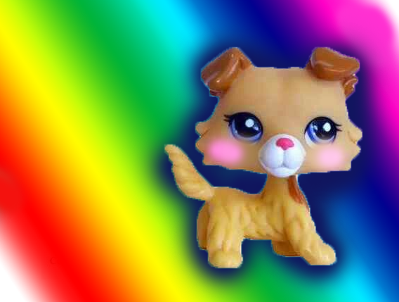 Lps rainbow deals collie