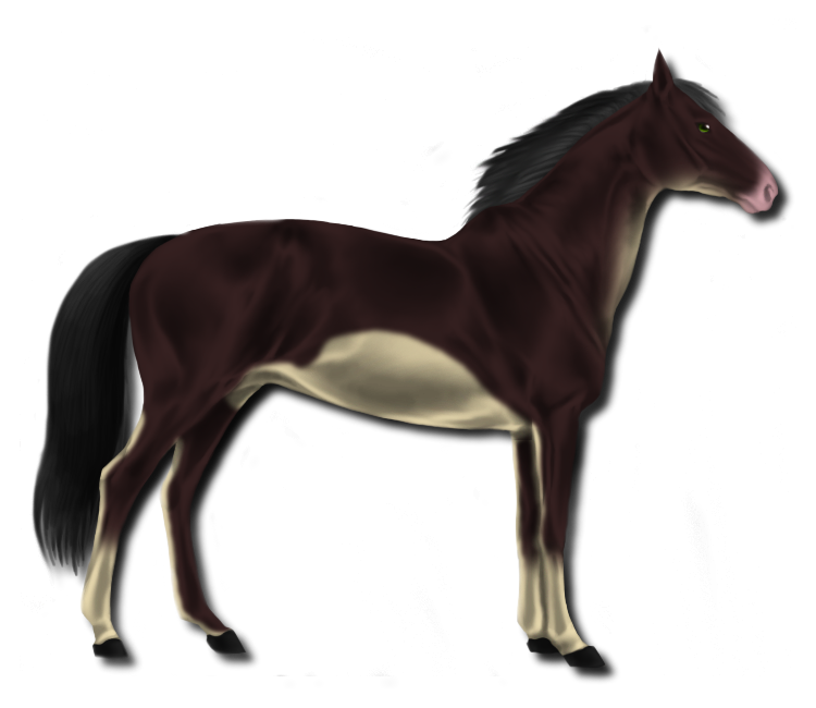 Horse Adopt - 10 Points - Adopted