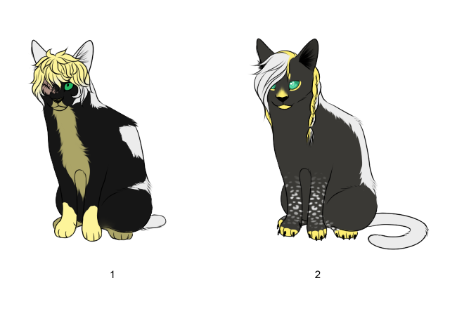 Scenecat Adopts - Adopted