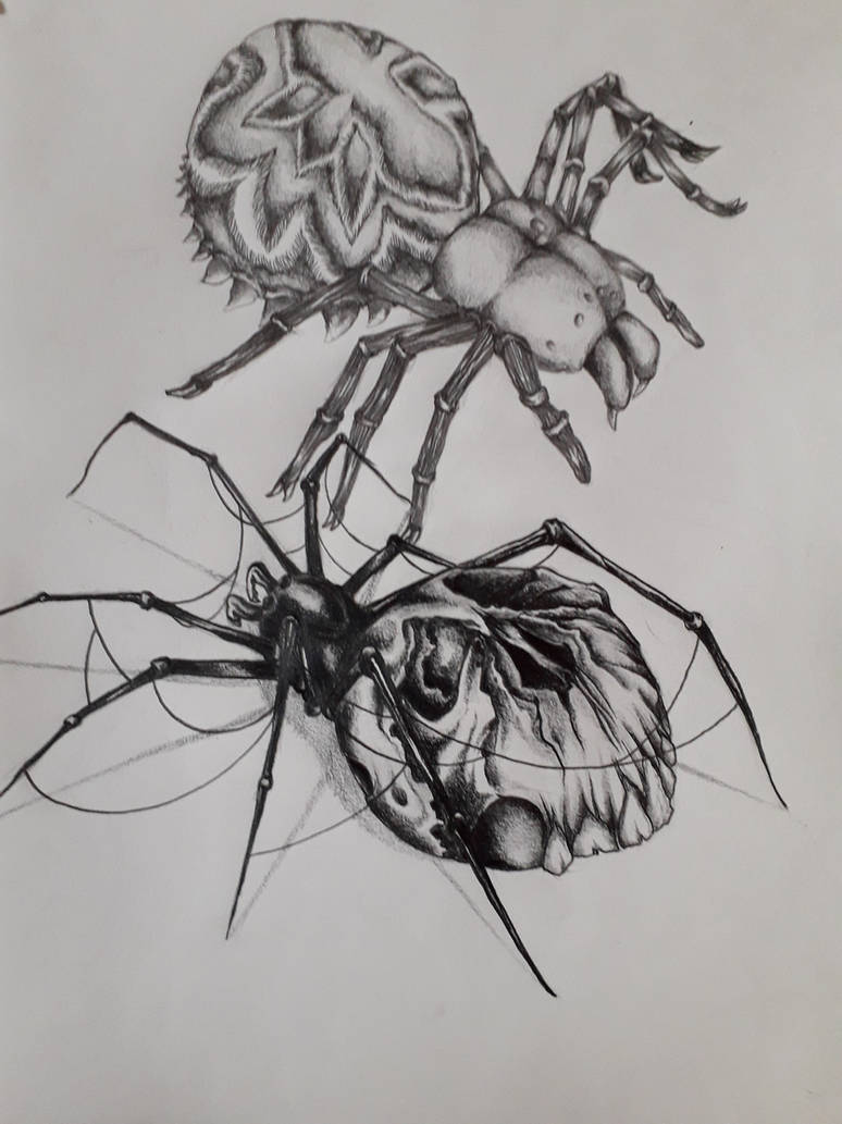 Deviantart Spider Spiders by BUILDER777 on DeviantArt