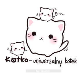 Kotko - universal cat