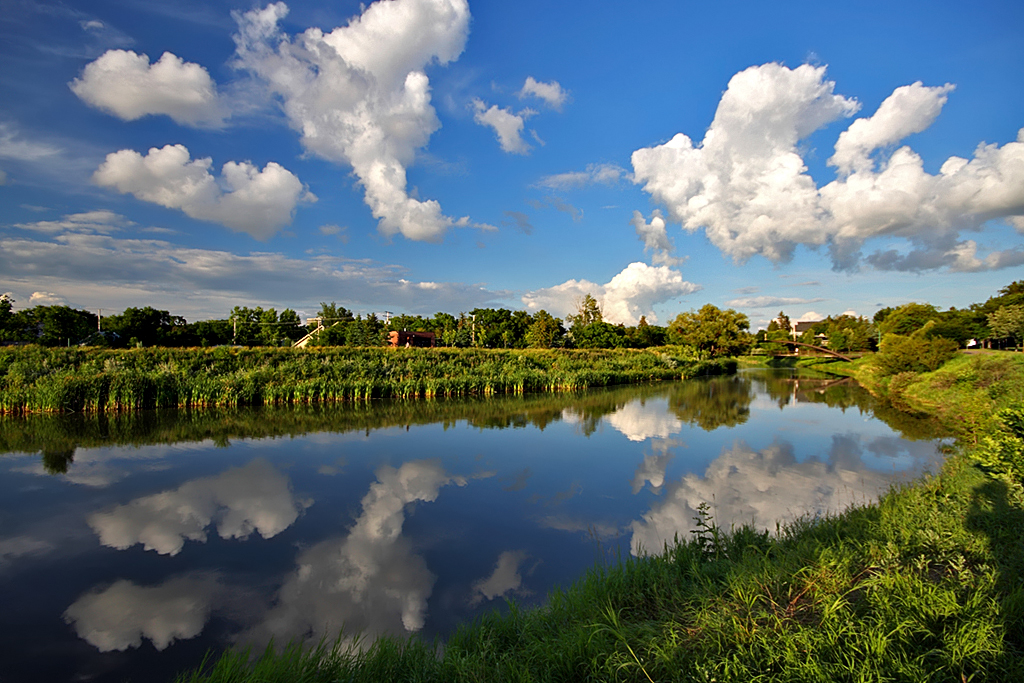 Serene landscape