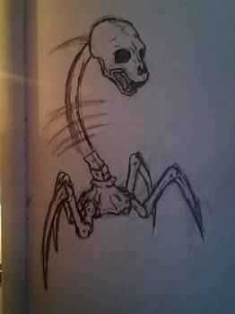 Skeletal Spider