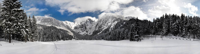 winter wonderland panorama