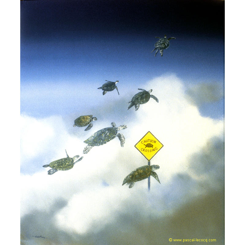 CAUTION TURTLE CROSSING by bluepainter357 on DeviantArt