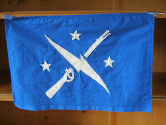 Minutemen Flag