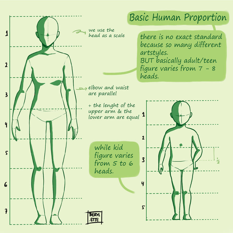 Adult Proportion Character Tutorial 1 : Proportion by berylette on DeviantArt