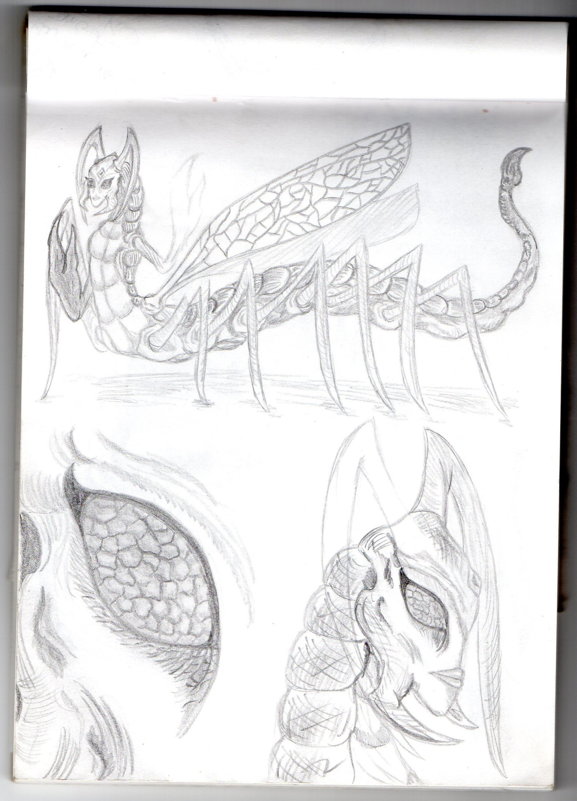 Insectoid Drawing Insectoide details by BellaSwan91 on DeviantArt