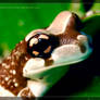 Amazon Milk Frog 4