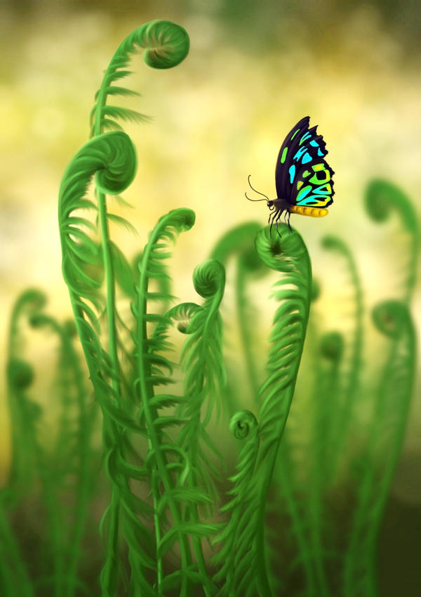 Schmetterling - Butterfly by unikatdesign