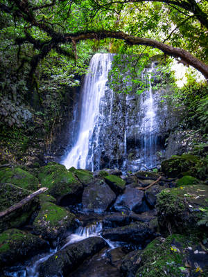 Waterfall in the Catlins by unikatdesign