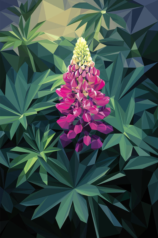 Lupine by unikatdesign