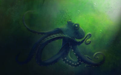 Krake by unikatdesign