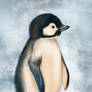 Pinguin