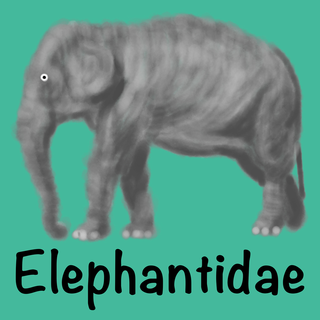 Elephantidae