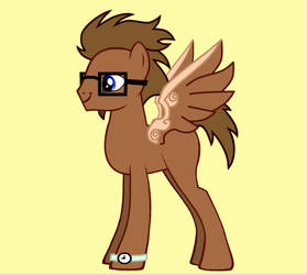 Ponysona-Brony Matt