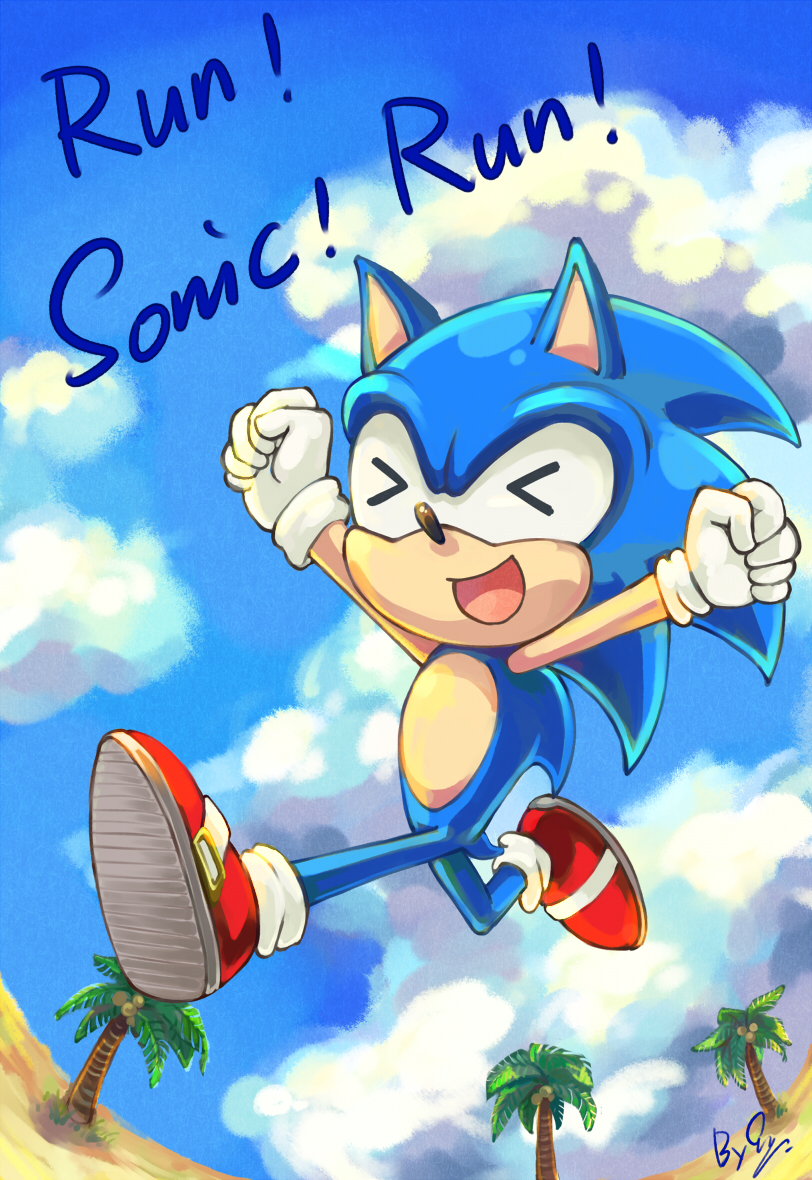 Run!Sonic!Run!!!