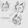 Doodles