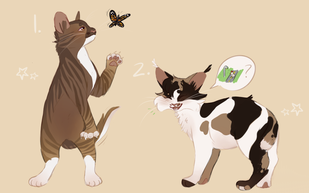 warrior cat adopts!!! CLOSED