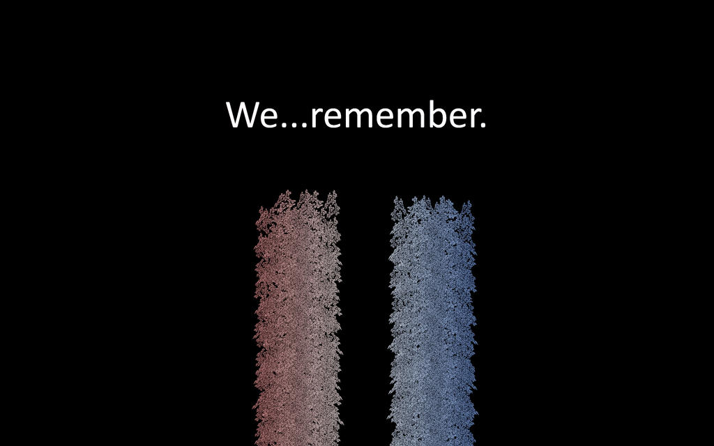 We Remember