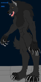 the werewolf black