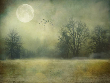 Moonlight on the Rising Mist