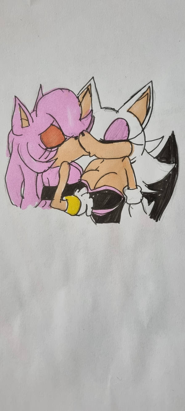 Amy Rouge Color Amy x Rouge by QueenNeedlemouse on DeviantArt