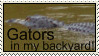 Florida Stamp