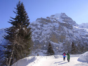 In the mountains of Murren