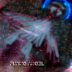 Flying Angel