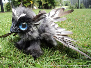 Griffin Pup - Handmade OOAK Poseable Artdoll- SOLD by SonsationalCreations Griffin Pup - Handmade OOAK Poseable Artdoll- SOLD by SonsationalCreations