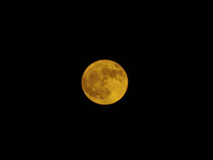 golden moon