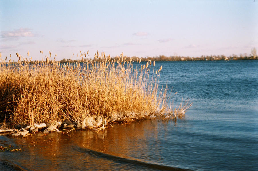 fluvial oleaje