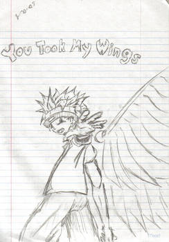 You Took My Wings