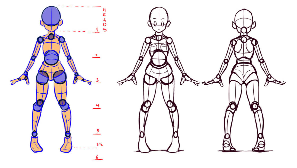 Body Shapes Back Understanding the body shapes, front and back view by Nsio on DeviantArt