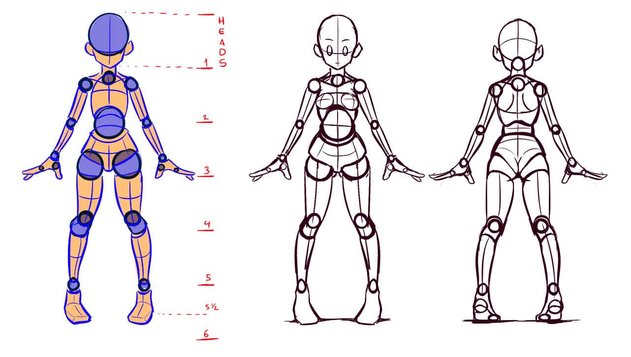 Understanding the body shapes, front and back view by Nsio on