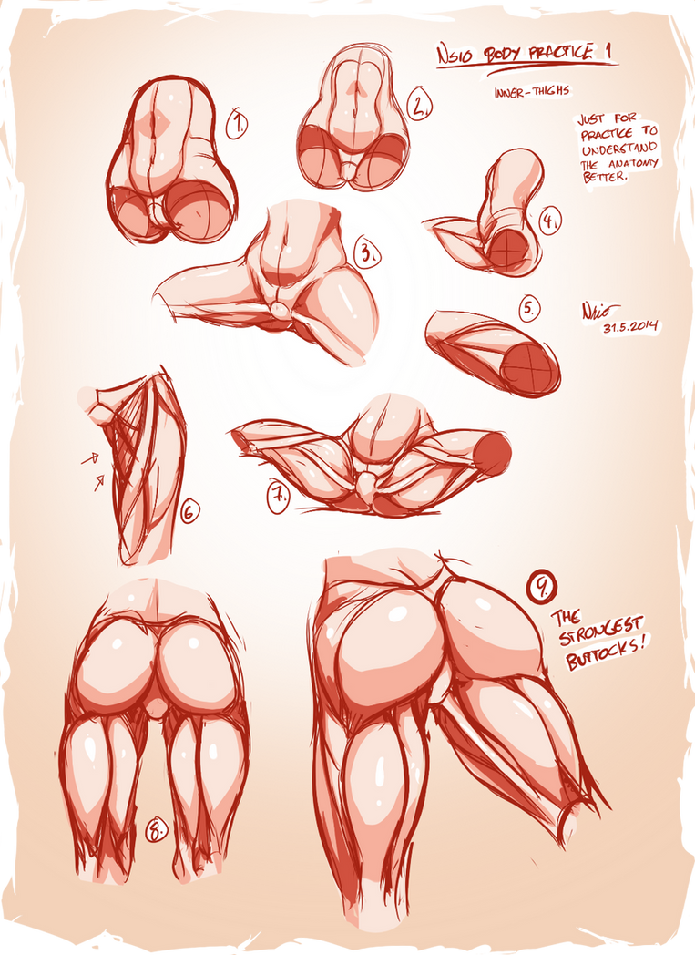 Nsio Body Practice1: Muscles of the Inner-thigh by Nsio