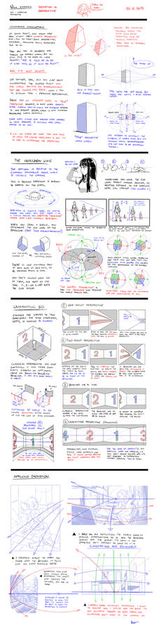 Nsio Explains: Distortion in Perspective