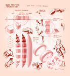 Nsio Practices: Perspective + 3D by Nsio