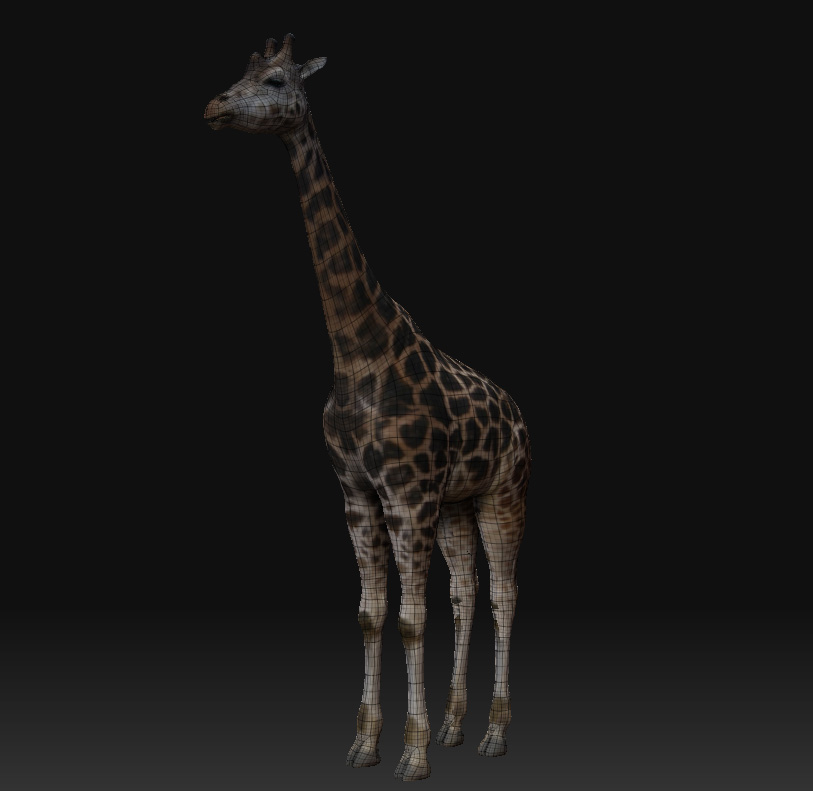 giraffe